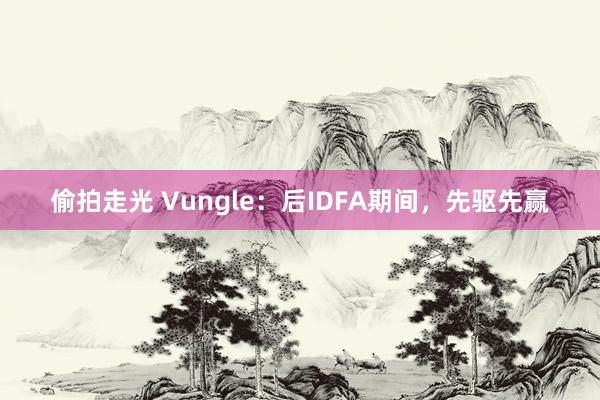 偷拍走光 Vungle：后IDFA期间，先驱先赢