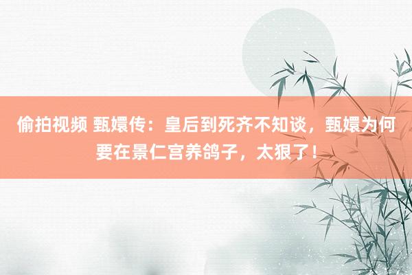 偷拍视频 甄嬛传：皇后到死齐不知谈，甄嬛为何要在景仁宫养鸽子，太狠了！