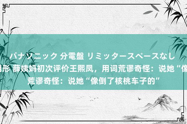 パナソニック 分電盤 リミッタースペースなし 露出・半埋込両用形 薛姨妈初次评价王熙凤，用词荒谬奇怪：说她“像倒了核桃车子的”