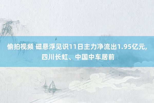 偷拍视频 磁悬浮见识11日主力净流出1.95亿元, 四川长虹、中国中车居前