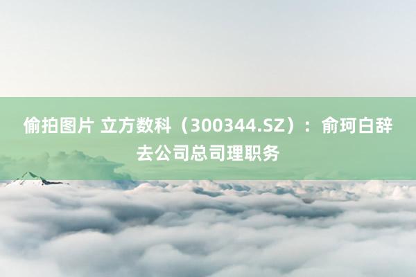 偷拍图片 立方数科（300344.SZ）：俞珂白辞去公司总司理职务