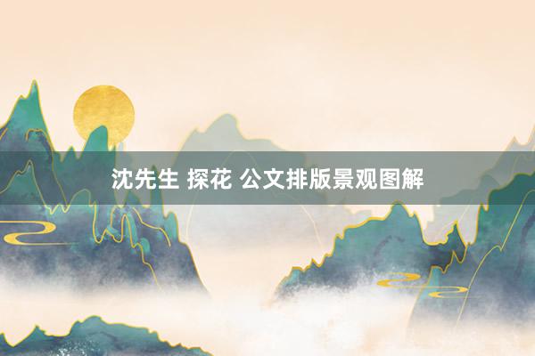 沈先生 探花 公文排版景观图解