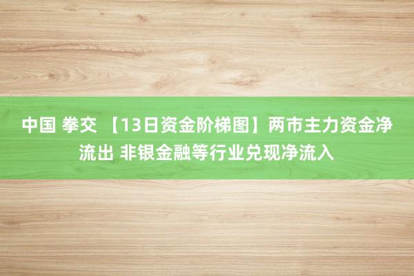 中国 拳交 【13日资金阶梯图】两市主力资金净流出 非银金融等行业兑现净流入