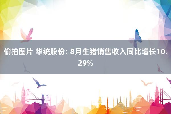 偷拍图片 华统股份: 8月生猪销售收入同比增长10.29%