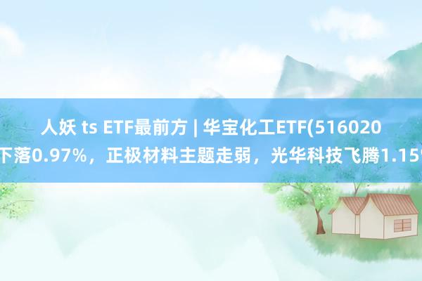 人妖 ts ETF最前方 | 华宝化工ETF(516020)下落0.97%，正极材料主题走弱，光华科技飞腾1.15%