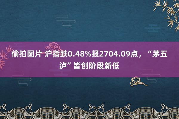 偷拍图片 沪指跌0.48%报2704.09点，“茅五泸”皆创阶段新低