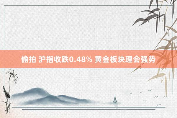 偷拍 沪指收跌0.48% 黄金板块理会强势