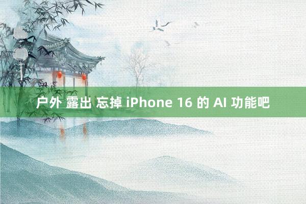 户外 露出 忘掉 iPhone 16 的 AI 功能吧