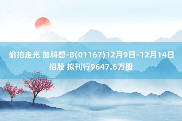 偷拍走光 加科想-B(01167)12月9日-12月14日招股 拟刊行9647.6万股