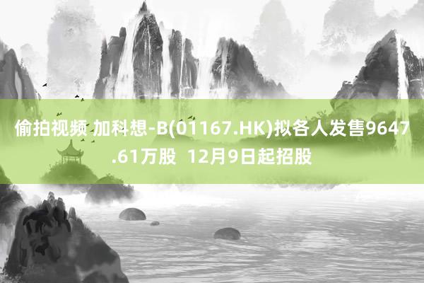 偷拍视频 加科想-B(01167.HK)拟各人发售9647.61万股  12月9日起招股