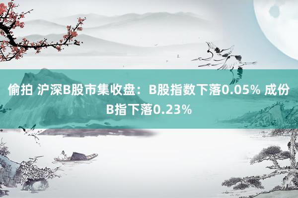 偷拍 沪深B股市集收盘：B股指数下落0.05% 成份B指下落0.23%