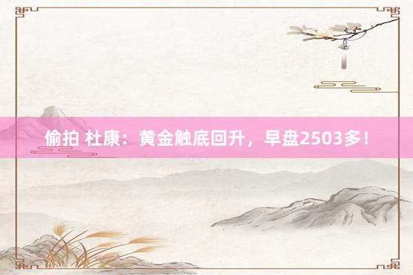 偷拍 杜康：黄金触底回升，早盘2503多！