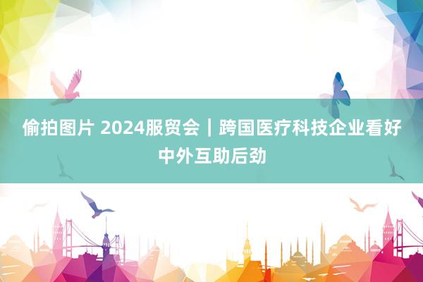 偷拍图片 2024服贸会｜跨国医疗科技企业看好中外互助后劲