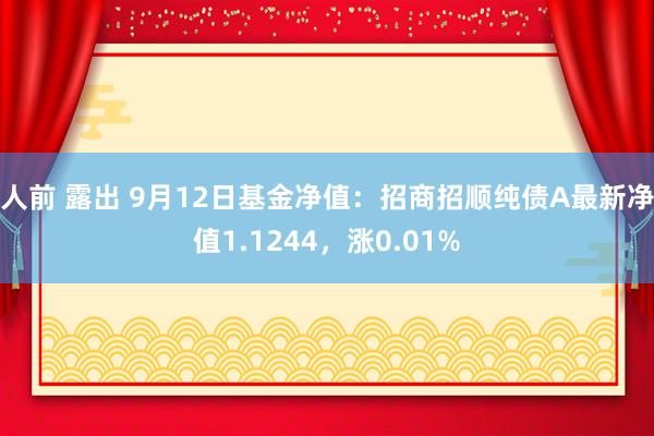 人前 露出 9月12日基金净值：招商招顺纯债A最新净值1.1244，涨0.01%