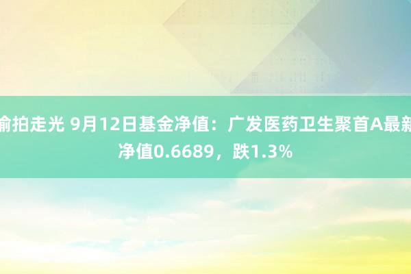 偷拍走光 9月12日基金净值：广发医药卫生聚首A最新净值0.6689，跌1.3%