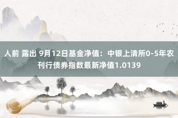 人前 露出 9月12日基金净值：中银上清所0-5年农刊行债券指数最新净值1.0139