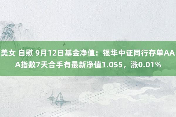 美女 自慰 9月12日基金净值：银华中证同行存单AAA指数7天合手有最新净值1.055，涨0.01%