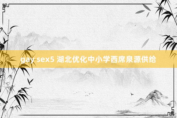 gay sex5 湖北优化中小学西席泉源供给