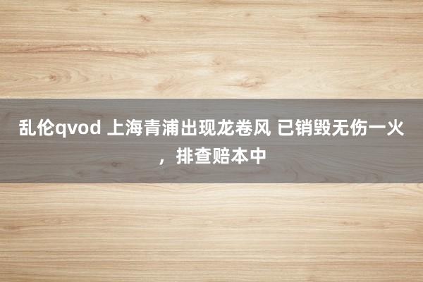 乱伦qvod 上海青浦出现龙卷风 已销毁无伤一火，排查赔本中