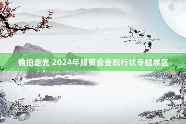 偷拍走光 2024年服贸会金融行状专题展区