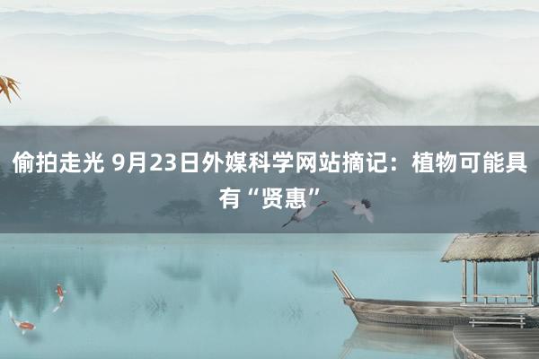 偷拍走光 9月23日外媒科学网站摘记：植物可能具有“贤惠”