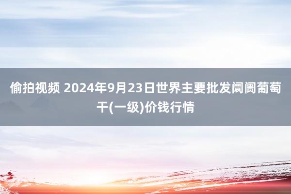 偷拍视频 2024年9月23日世界主要批发阛阓葡萄干(一级)价钱行情