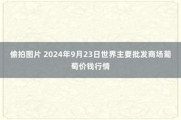 偷拍图片 2024年9月23日世界主要批发商场葡萄价钱行情