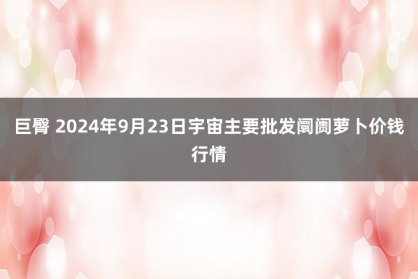 巨臀 2024年9月23日宇宙主要批发阛阓萝卜价钱行情