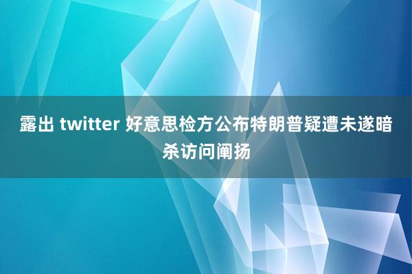 露出 twitter 好意思检方公布特朗普疑遭未遂暗杀访问阐扬