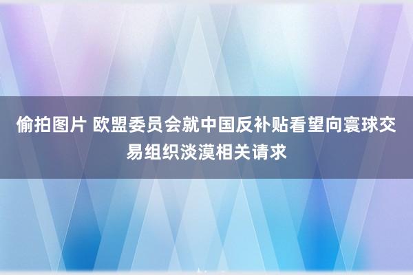 偷拍图片 欧盟委员会就中国反补贴看望向寰球交易组织淡漠相关请求