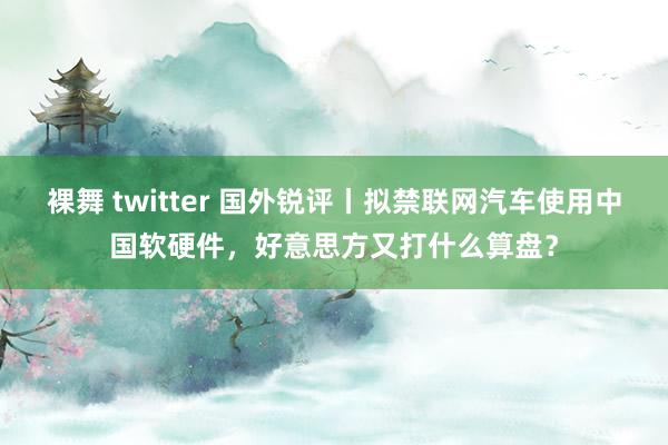 裸舞 twitter 国外锐评丨拟禁联网汽车使用中国软硬件，好意思方又打什么算盘？