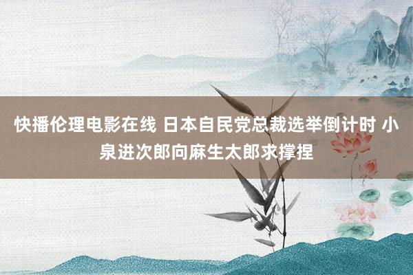 快播伦理电影在线 日本自民党总裁选举倒计时 小泉进次郎向麻生太郎求撑捏