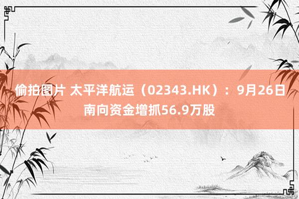 偷拍图片 太平洋航运（02343.HK）：9月26日南向资金增抓56.9万股