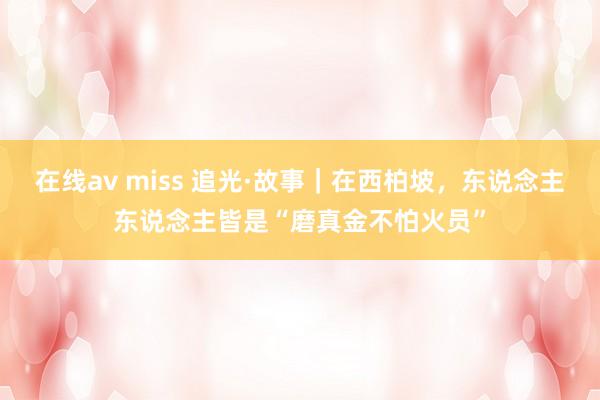 在线av miss 追光·故事｜在西柏坡，东说念主东说念主皆是“磨真金不怕火员”