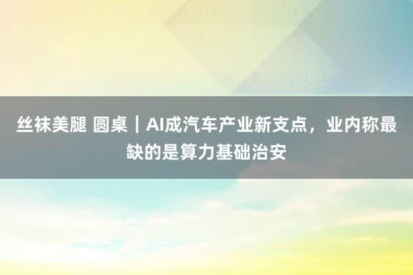 丝袜美腿 圆桌｜AI成汽车产业新支点，业内称最缺的是算力基础治安