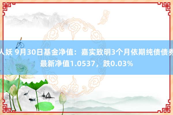 人妖 9月30日基金净值：嘉实致明3个月依期纯债债券最新净值1.0537，跌0.03%