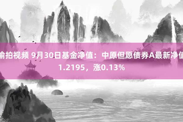 偷拍视频 9月30日基金净值：中原但愿债券A最新净值1.2195，涨0.13%