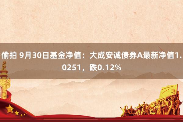 偷拍 9月30日基金净值：大成安诚债券A最新净值1.0251，跌0.12%