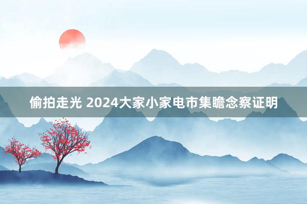 偷拍走光 2024大家小家电市集瞻念察证明