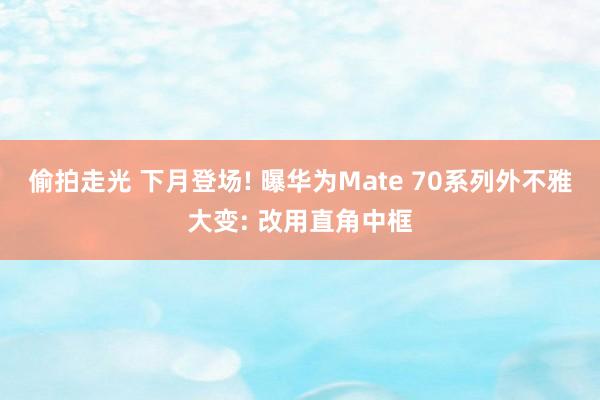 偷拍走光 下月登场! 曝华为Mate 70系列外不雅大变: 改用直角中框