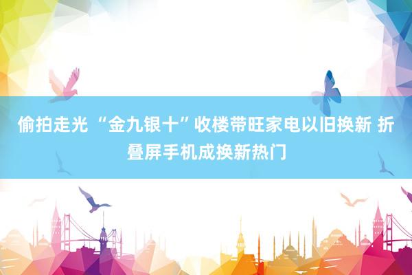 偷拍走光 “金九银十”收楼带旺家电以旧换新 折叠屏手机成换新热门