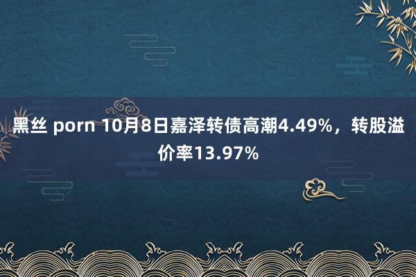 黑丝 porn 10月8日嘉泽转债高潮4.49%，转股溢价率13.97%