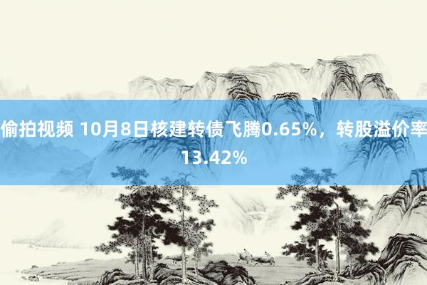 偷拍视频 10月8日核建转债飞腾0.65%，转股溢价率13.42%