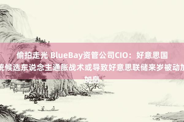 偷拍走光 BlueBay资管公司CIO：好意思国总统候选东说念主通胀战术或导致好意思联储来岁被动加息