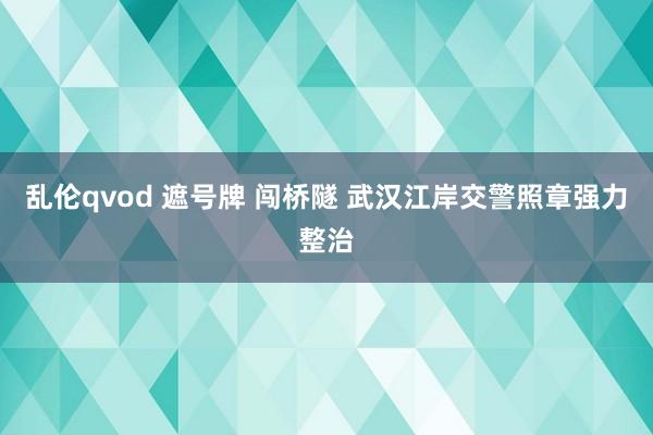 乱伦qvod 遮号牌 闯桥隧 武汉江岸交警照章强力整治