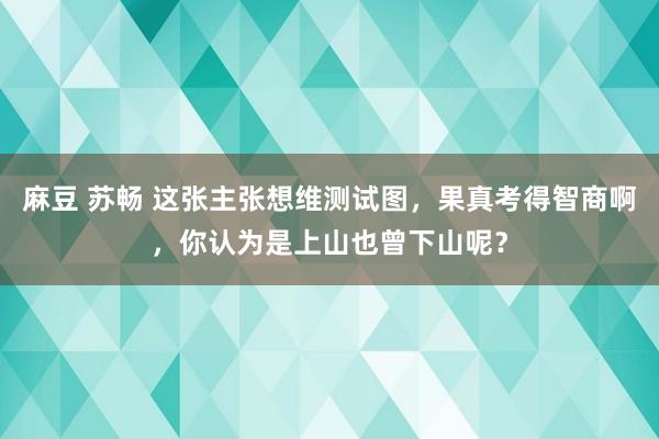 麻豆 苏畅 这张主张想维测试图，果真考得智商啊，你认为是上山也曾下山呢？