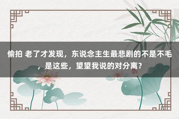 偷拍 老了才发现，东说念主生最悲剧的不是不毛，是这些，望望我说的对分离？