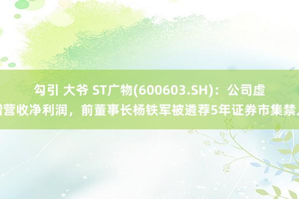 勾引 大爷 ST广物(600603.SH)：公司虚增营收净利润，前董事长杨铁军被遴荐5年证券市集禁入