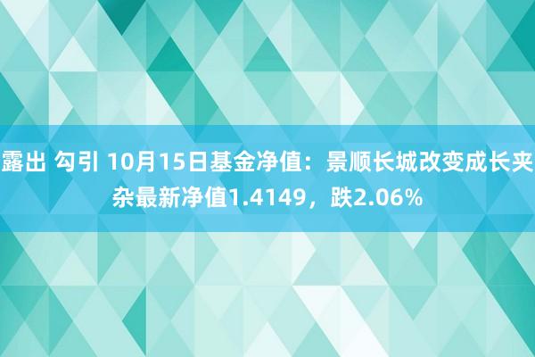 露出 勾引 10月15日基金净值：景顺长城改变成长夹杂最新净值1.4149，跌2.06%