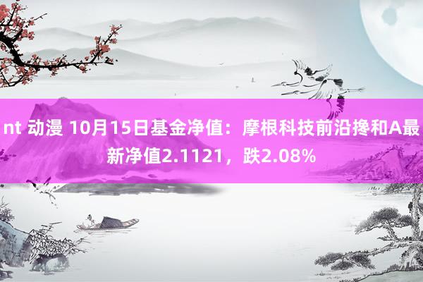 nt 动漫 10月15日基金净值：摩根科技前沿搀和A最新净值2.1121，跌2.08%